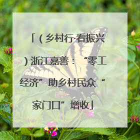 （乡村行·看振兴）浙江嘉善：“零工经济”助乡村民众“家门口”增收