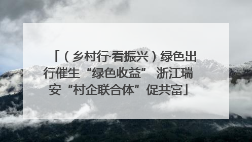 （乡村行·看振兴）绿色出行催生“绿色收益” 浙江瑞安“村企联合体”促共富