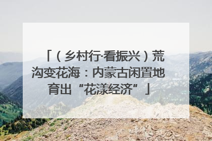 （乡村行·看振兴）荒沟变花海：内蒙古闲置地育出“花漾经济”