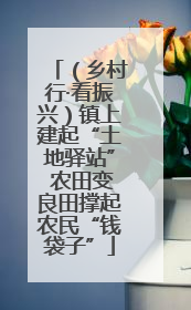 （乡村行·看振兴）镇上建起“土地驿站” 农田变良田撑起农民“钱袋子”