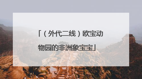 （外代二线）欧宝动物园的非洲象宝宝