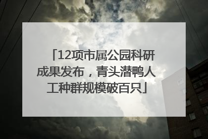 12项市属公园科研成果发布，青头潜鸭人工种群规模破百只