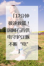 17分钟极速救援！国网石首供电守护江豚不断“电”