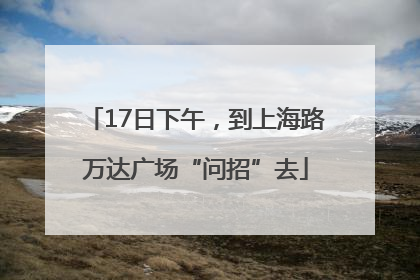 17日下午，到上海路万达广场“问招”去