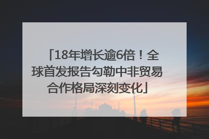 18年增长逾6倍！全球首发报告勾勒中非贸易合作格局深刻变化