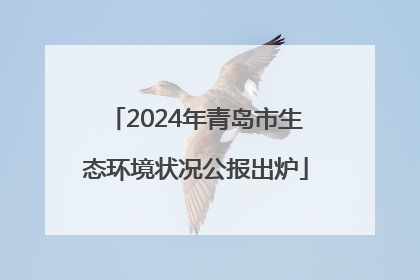 2024年青岛市生态环境状况公报出炉