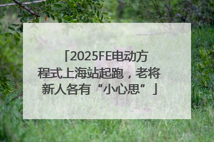 2025FE电动方程式上海站起跑，老将新人各有“小心思”