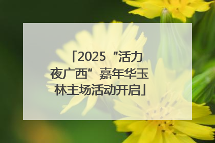 2025“活力夜广西”嘉年华玉林主场活动开启