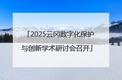 2025云冈数字化保护与创新学术研讨会召开