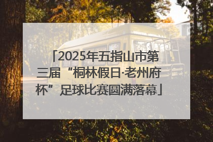 2025年五指山市第三届“桐林假日·老州府杯”足球比赛圆满落幕