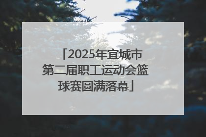2025年宜城市第二届职工运动会篮球赛圆满落幕