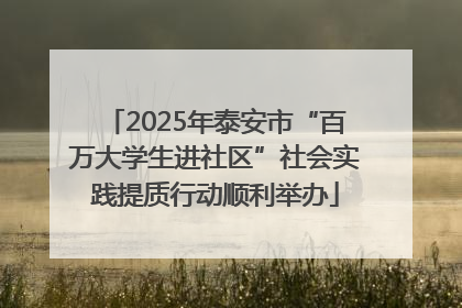 2025年泰安市“百万大学生进社区”社会实践提质行动顺利举办