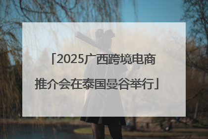 2025广西跨境电商推介会在泰国曼谷举行