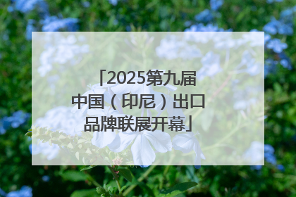 2025第九届中国（印尼）出口品牌联展开幕
