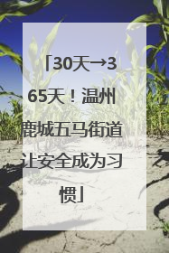 30天→365天！温州鹿城五马街道让安全成为习惯