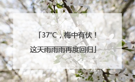 37℃，梅中有伏！这天雨雨雨再度回归