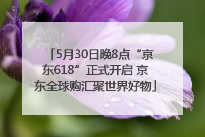 5月30日晚8点“京东618”正式开启 京东全球购汇聚世界好物