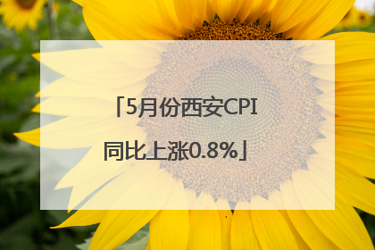 5月份西安CPI同比上涨0.8%