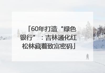 60年打造“绿色银行”：吉林通化红松林藏着致富密码