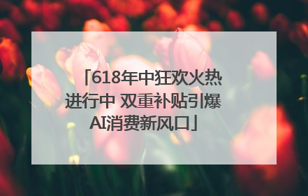 618年中狂欢火热进行中 双重补贴引爆AI消费新风口