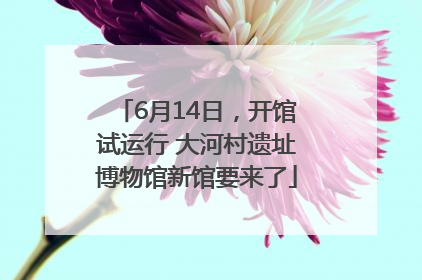 6月14日，开馆试运行 大河村遗址博物馆新馆要来了