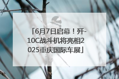6月7日启幕！歼-10C战斗机将亮相2025重庆国际车展