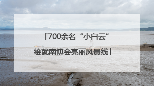 700余名“小白云”绘就南博会亮丽风景线