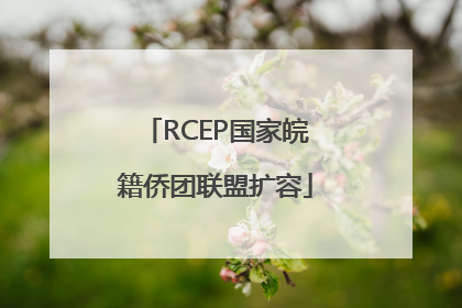 RCEP国家皖籍侨团联盟扩容