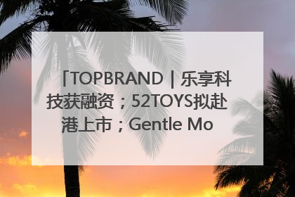 TOPBRAND｜乐享科技获融资；52TOYS拟赴港上市；Gentle Monster合作谷歌；Valentino传播官离职